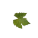 Floating image