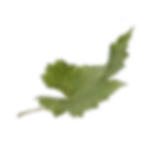 Floating image